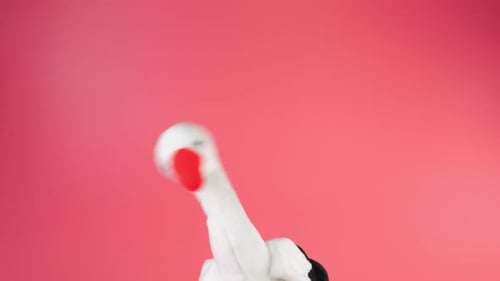 Stork Hand Puppet Moving Up and Down