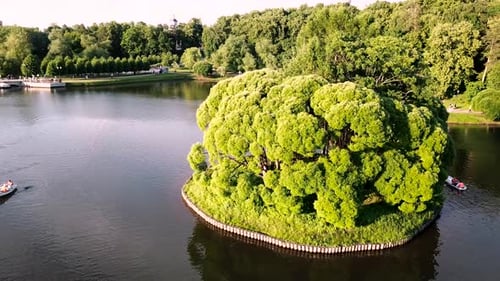 Aerial View of the City Park with a Pond with Island Covered By Green Trees Footage Flying Over the