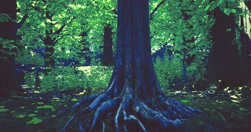 Majestic Tree with Intricate Roots Surrounded By Lush Green Forest