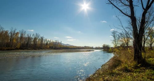 Mountain River Timelapse at the Summer or Autumn Day Time Wild Nature Clear Blue Water and Dry Trees