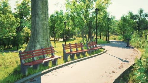Relaxing Park Pathway Lined with Benches and Greenery in the Afternoon Light
