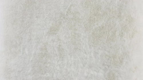 Slow Zoom on Soft White Fur Texture