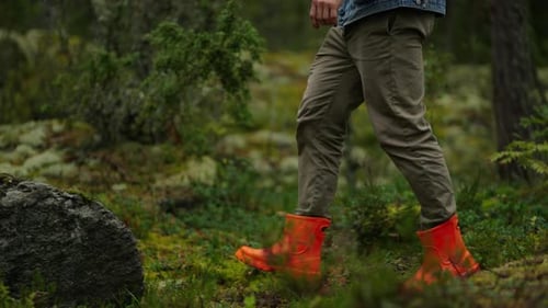 Legs Of Man In Rubber Shoes Walking In Forest View On Bottom Body Part Hiker In Woodland