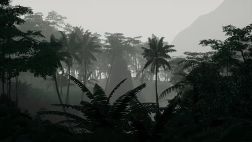 Szene mit direktem Blick in einen dichten tropischen Regenwald