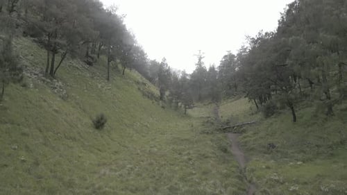 Lawu Mountain, Zentral-Java, Indonesien