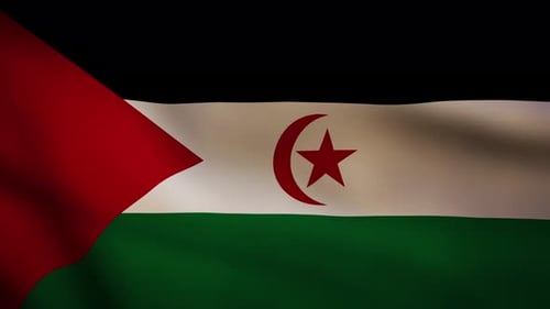 Realistic Waving Sahrawi Arab Democratic Republic Flag Animation