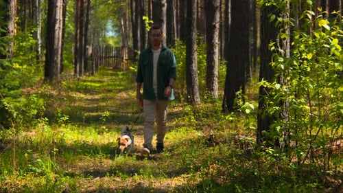 Man walks with dog in green forest on sunny day