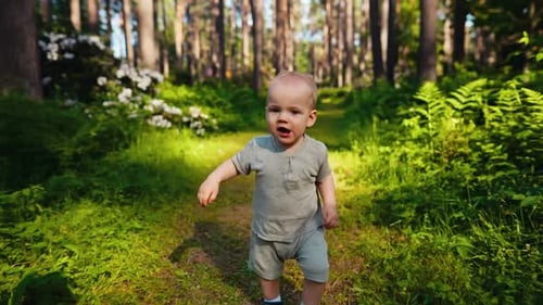 A Carefree Toddler Exploring Nature in a Lush Forest Enjoying the Outdoors on a Sunny Day Embodying