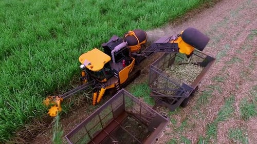 Moderne Erntemaschine, die tagsüber auf üppig grünen Feldern arbeitet