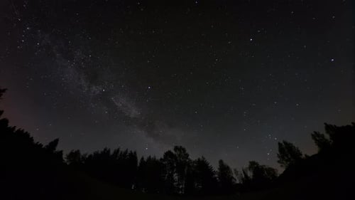 Die Astrofotografie des Nachthimmels fängt Bäume vor kosmischem Hintergrund ein und zeigt die himmlische Schönheit