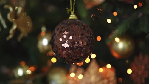 Festive Ornaments and Lights on Christmas Tree