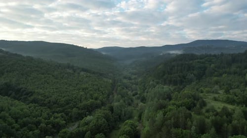 Aerial Turkey Green Environment Forest Zone