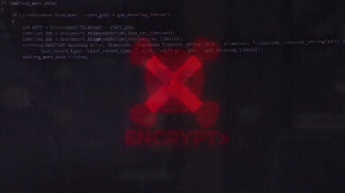 Cyber Glitch Warning Skull and Encrypt Logo Reveal