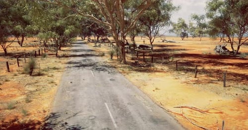 Dry Landscape with a Winding Road Through Sparse Trees and Orange Soil