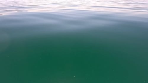 Sea Water Surface Low Angle View Over Clear Azure Sea Water Sun Glare Abstract Nautical Summer Ocean