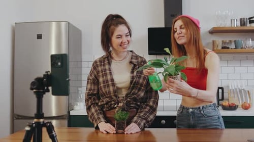 Dos blogueros graban un vídeo sobre una agradable cocina en el que comparten consejos sencillos sobre cómo cuidar las plantas de interior