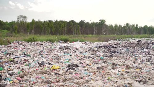 view of household waste and plastic on a background of forest and nature landscape. Landfill,