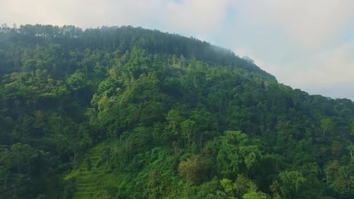 Aerial view of a mountain completely enveloped in a large green forest.