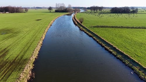 An aerial view of a wide river flowing through vibrant green fields. A large flock of birds flies