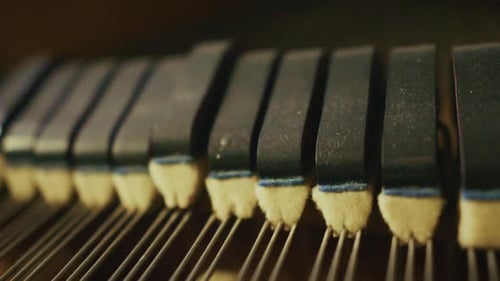 Dusty Grand Piano Dampers Moving on Strings as Keys Are Played CLOSE UP