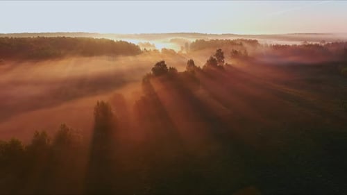 Aerial view of beautiful sunrise over valley with trees and river