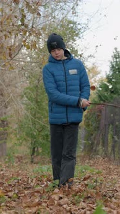 Young Boy Walking Through Autumn Forest with Stick and Falling Leaves