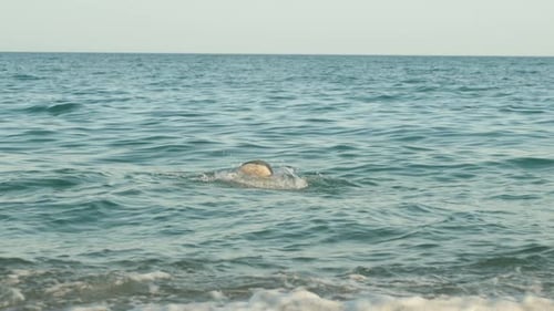 A man in a scuba diving mask dives under the water, his legs sticking out of the water. Slow mo