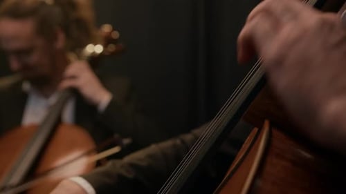 String Quartet Performing Music