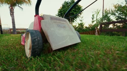 Pov of the Lawnmower in Action