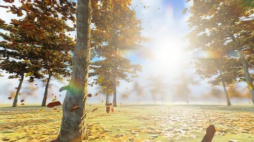 Blätter fallen im Herbst langsam mit dem Wind unter der Sonne