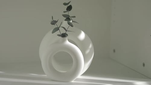 Unique White Vase with Plant on a Shelf in Bright Room