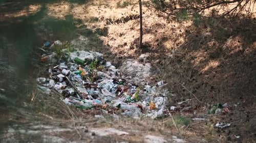 Garbage Dump in Forest