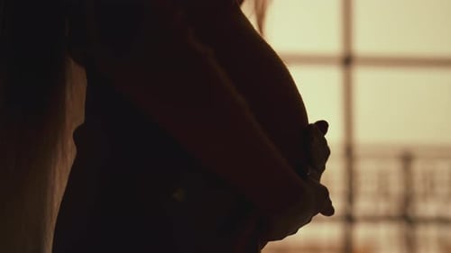 Man Embracing Pregnant Woman Silhouette Indoors