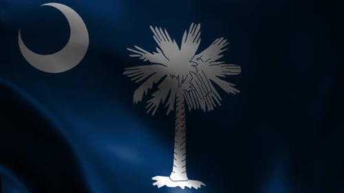 South Carolina State Flag Waving Animation Loop