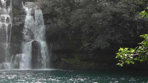 Cascada a cámara lenta en la selva tropical de Mauricio