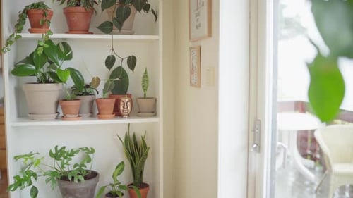 Beautiful Interior Of A Countryside House With Indoor Plants In Daytime In Norway. Handheld
