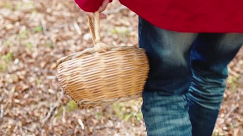 Elderly Man Walking with Basket for Picking Mushrooms in the Mountain