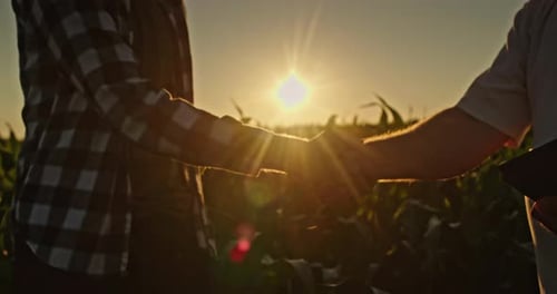 Farmers Shaking Hands at Sunrise in Cornfield