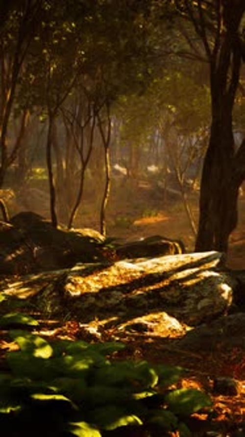 Deep Tropical Jungle in Darkness