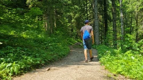 Ein Mann in Sommerkleidung geht durch den üppigen Alpenwald in der Nähe des Schwarzen Sees (Schwarzsee)