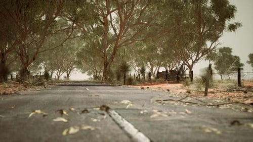 Open Road in Australia with Bush Trees