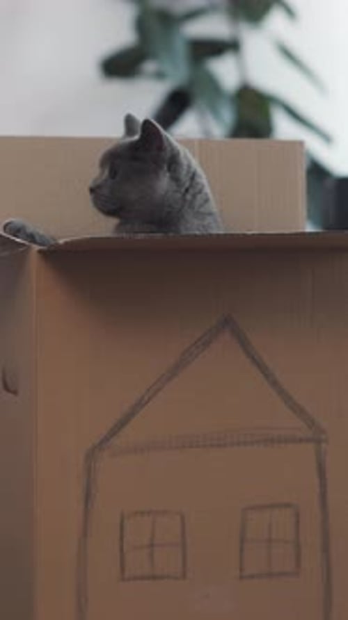 Cardboard Box That Features a Creatively Drawn House Illustration on Its Surface