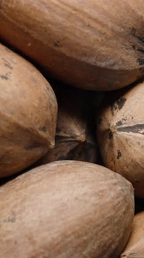 Vertical video. Background made of pecan nuts in shells, close-up, rotating in a glass jar.
