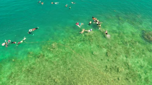 Tourists Snorkeling in the Lagoon Philippines El Nido