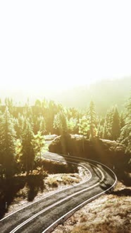 An Empty Road Winding Through a Picturesque Forest at Sunset