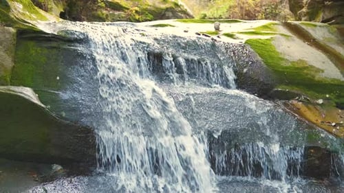 A Small Mountain Stream with Fast Moving Clear Water Between Rocky Stones in Autumn