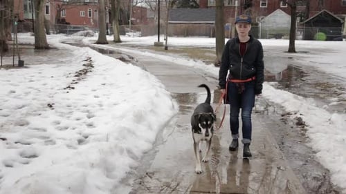 Person Walks Dog on Snowy Sidewalk in Winter