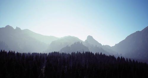 Majestic Mountain Landscape with Deep Forests and Misty Peaks at Dawn