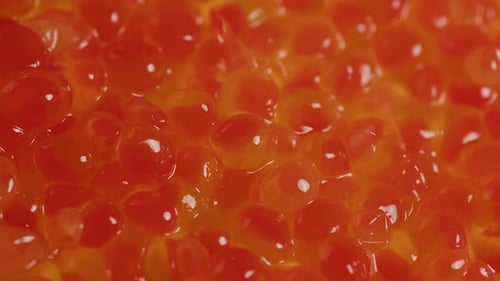 Texture of Red Caviar