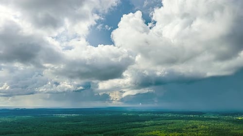 White Fluffy Clouds Are Moving Fast In The Blue Sky Over Dense Forestland. Timelapse